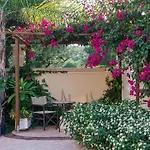 Mamfredas Luxury Vila *