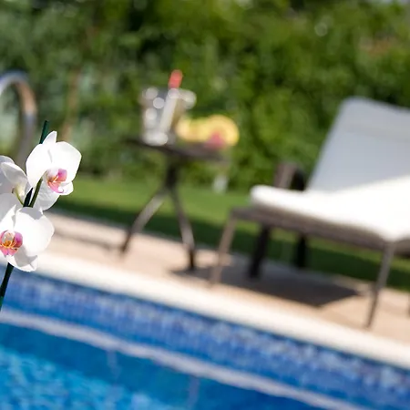Vila Mamfredas Luxury Tsilivi (Zakynthos)